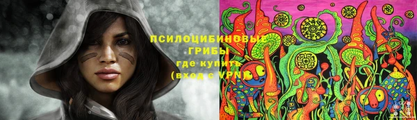 соль курить ск Арсеньев