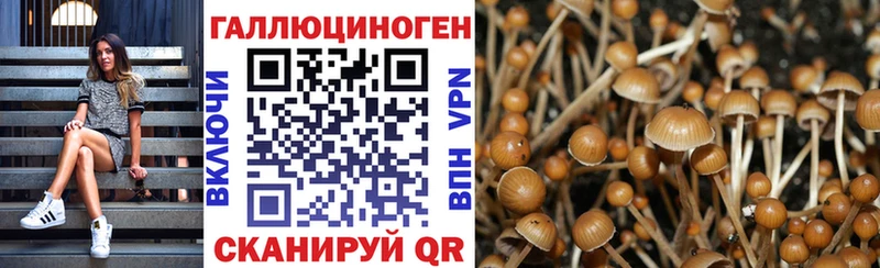 Галлюциногенные грибы Psilocybine cubensis  Куса 